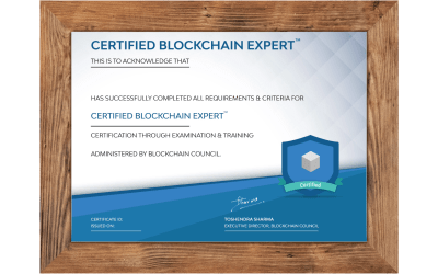 Certified Blockchain Expert